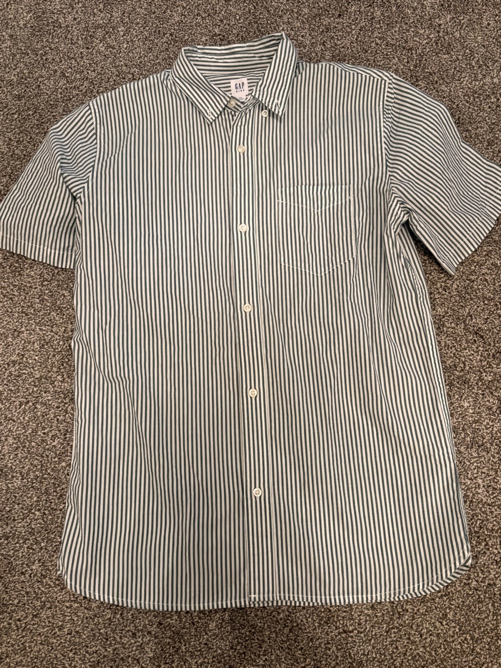GAP Blue and White Striped Short Sleeve Button-Down Shirt